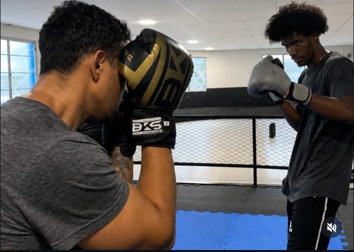 Boxe